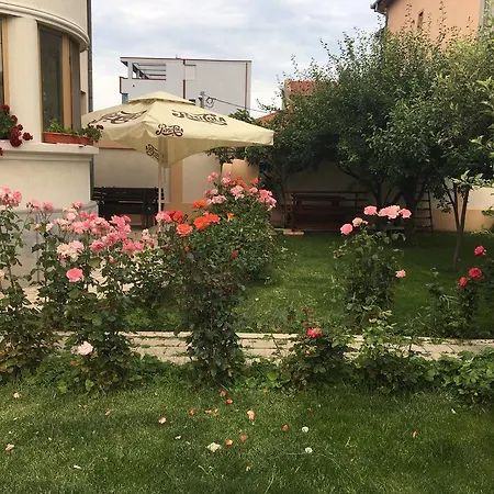 فيلة Bluemarina إيفوري نورد